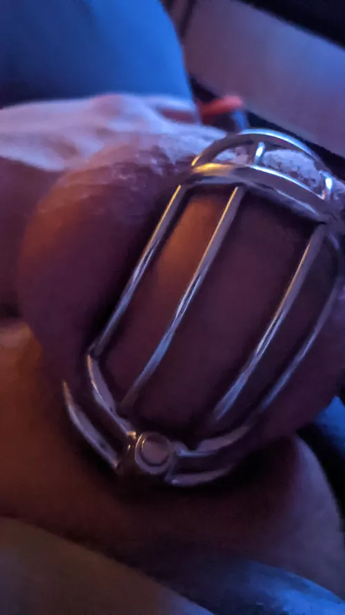 I was good today so wifey gave me a BJ got me rock hard then stopped and locked my clitty up I'm so horny 😈💯🤤🍆💦💦Love it ! by Sccubus_Kissy