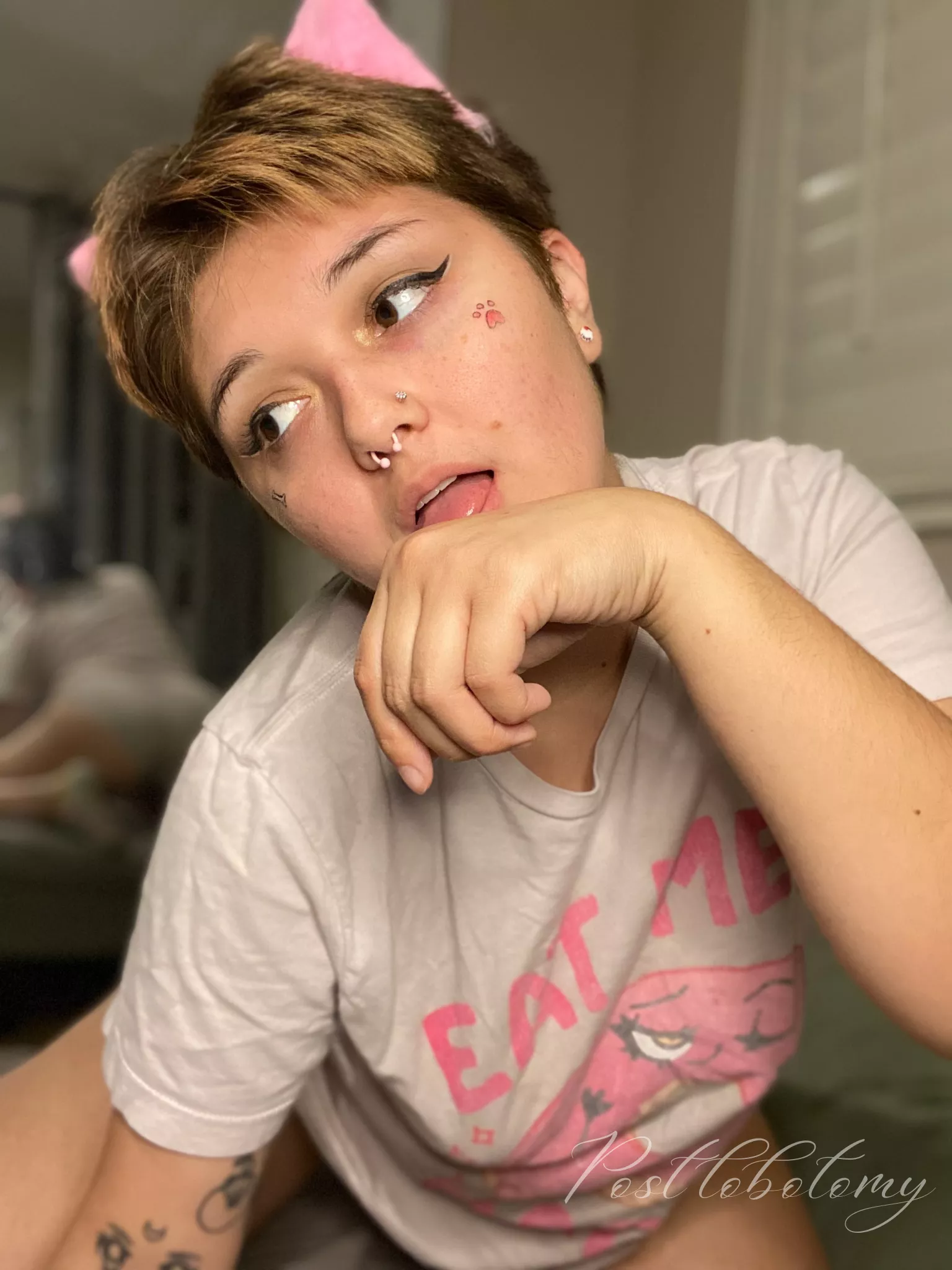 I was wondering where a cute pink-loving pet could find a collar to fit my aesthetic. Looking for recommendations. I would most appriciate! posted by post_lobotomy