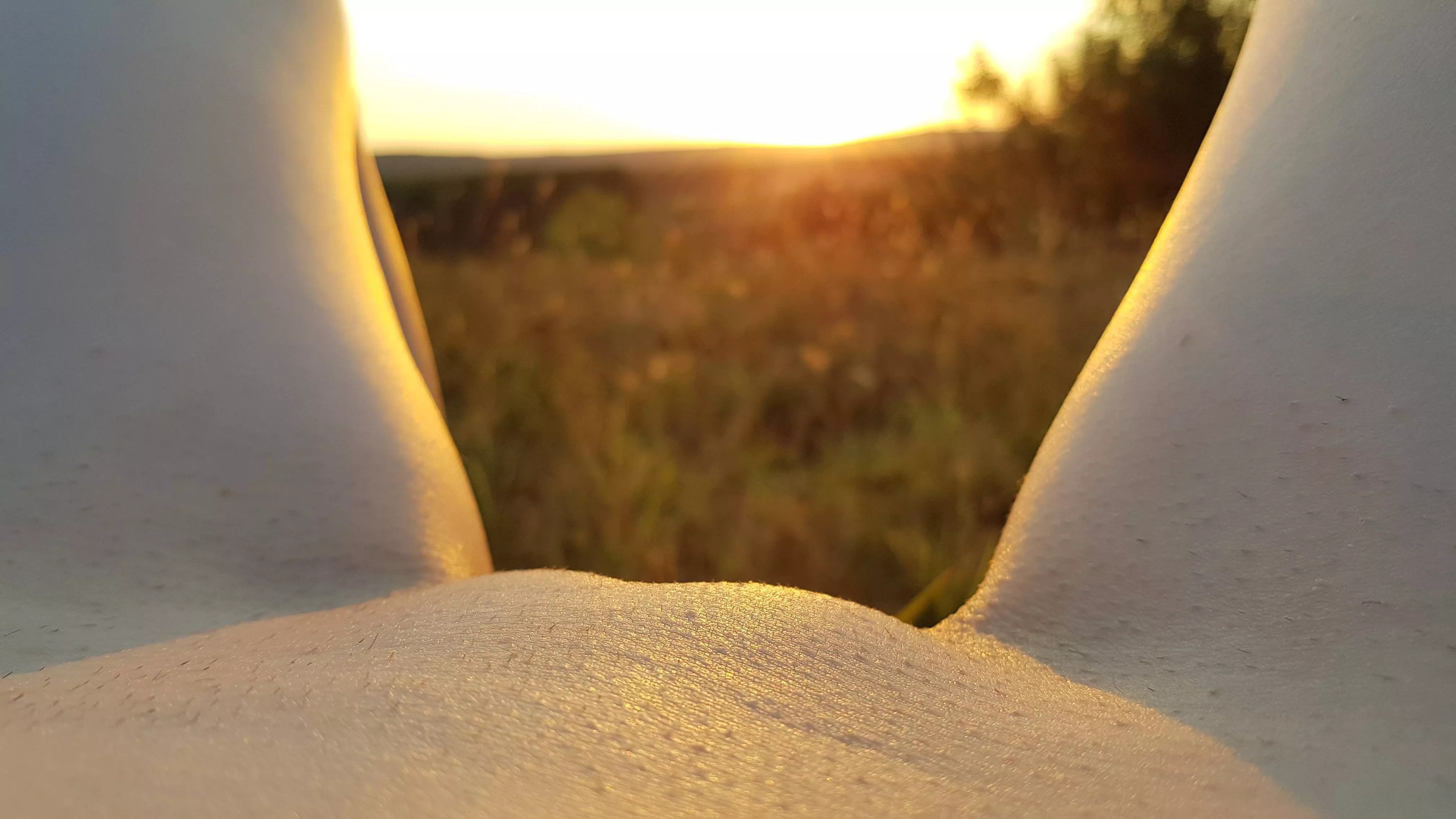 I we wanted you to meet this sunset with me posted by pantylessmiss