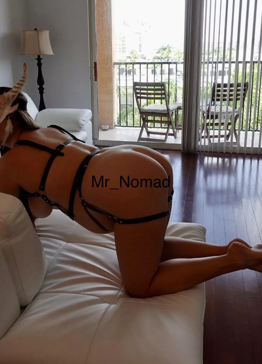 I will be cuming in this tonight. What are your weekend plans? posted by Mr_Nomad101