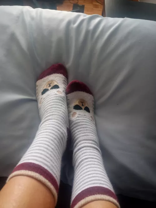 I will let you take them of[f] by kawaiibunny666