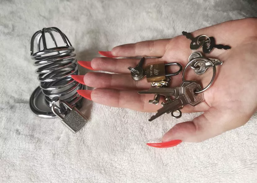 I wish I own a slave posted by jinmen645