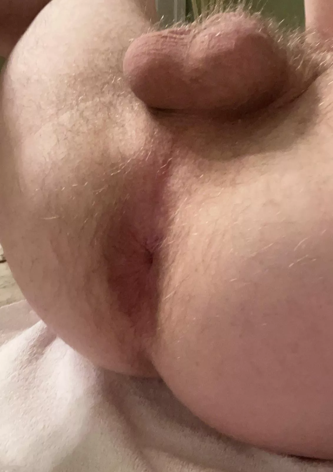 I wish I was more hairy but there’s some there (22) posted by SelectTop1
