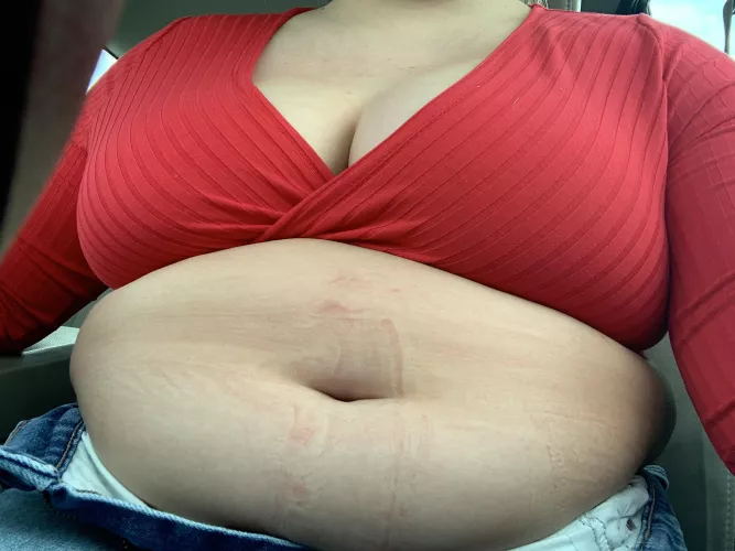 i’d love for you to stuff me by bigbellyblonde