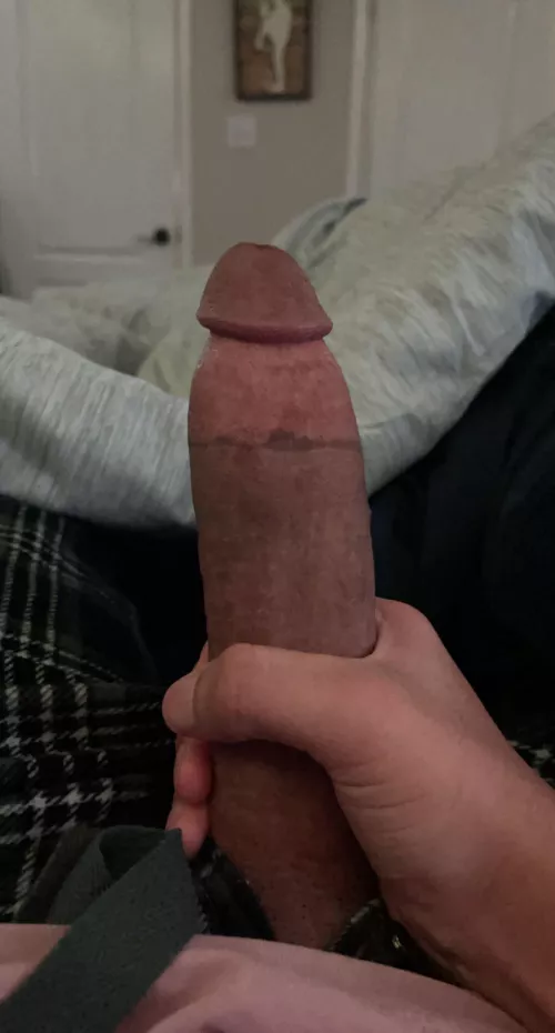 i’d love to hear what you’d do to my cock :) by Consistent-Focus-495