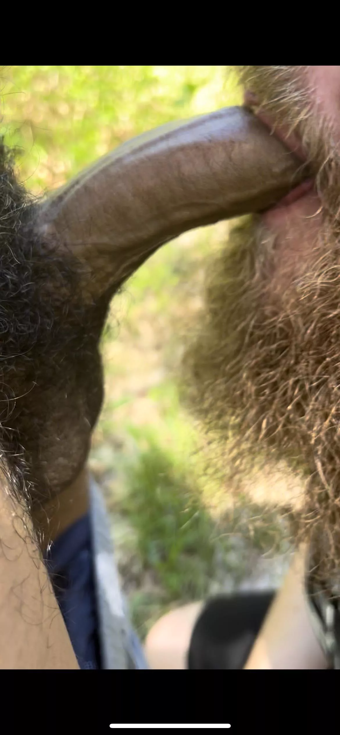 If a dude pulls his dick out in the woods. You drop to your knees and suck it. #BBC #Cruising #Public posted by ptrk1510