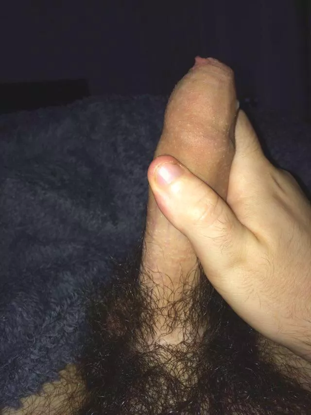if i asked nicely would you suck my dick? 😌 dm’s open posted by alxsdair
