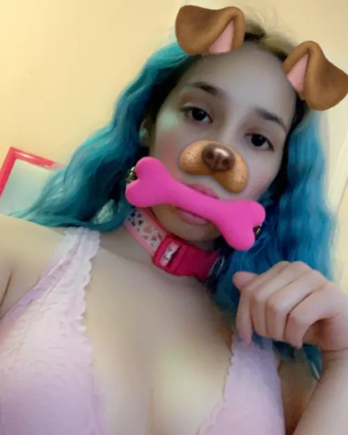 If lost return to Daddy by Daddysdumbabie