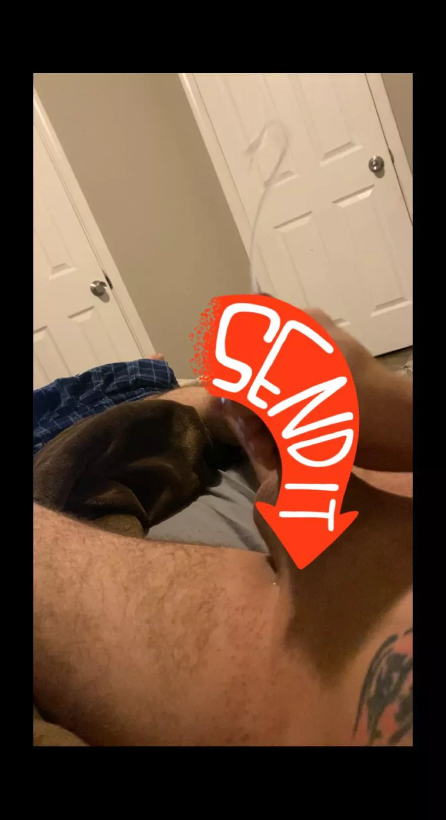 If me and the gf made a first time fj vid who’s interested? Dm for free cock pic and cumshot vid posted by theotherskater