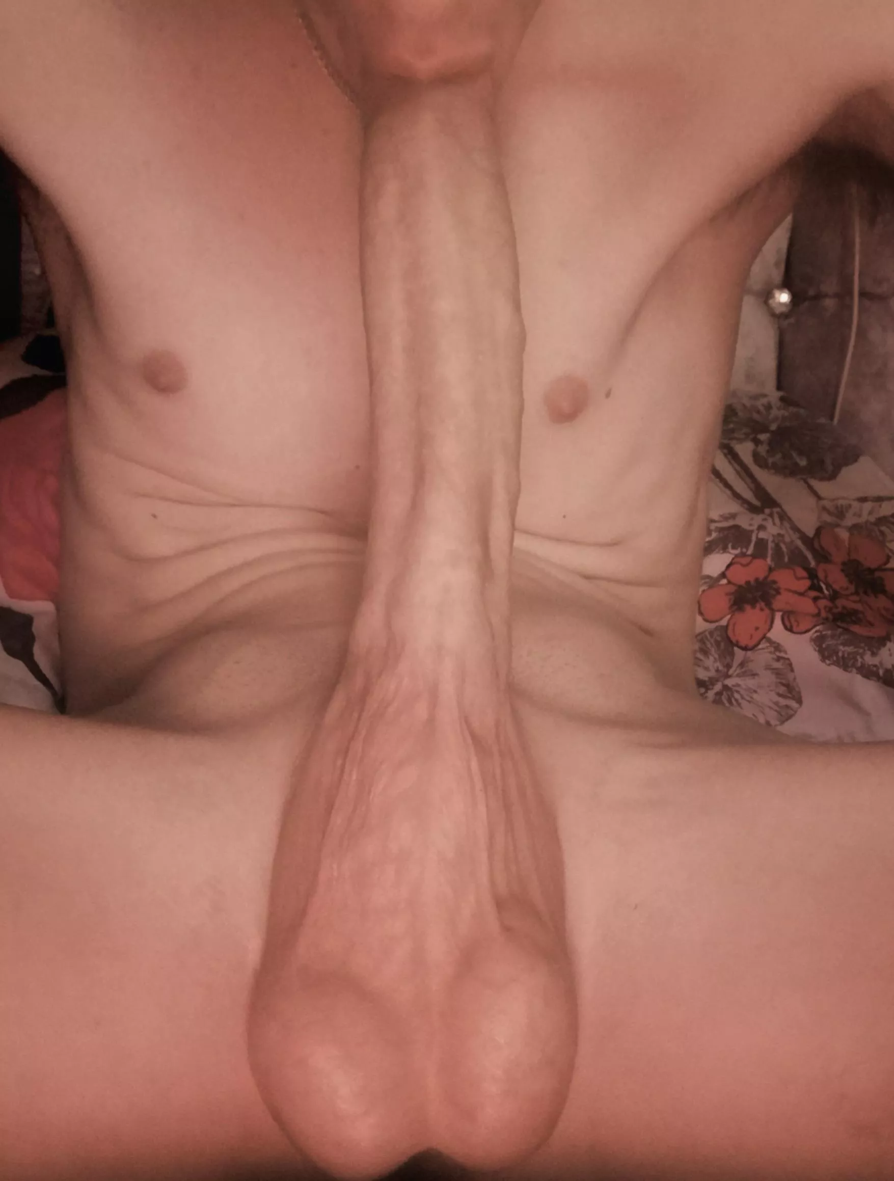 If only I could enter talent shows with this act posted by SeventhWaveSka