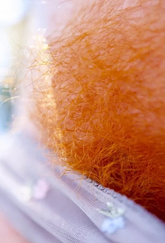 If you know you know posted by Decent-Confidence268