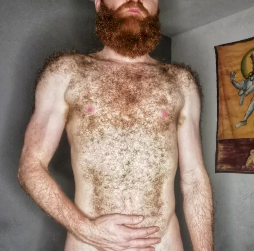 If you like a insanely hairy ginger, vote up and follow 😋 by Cumber17br