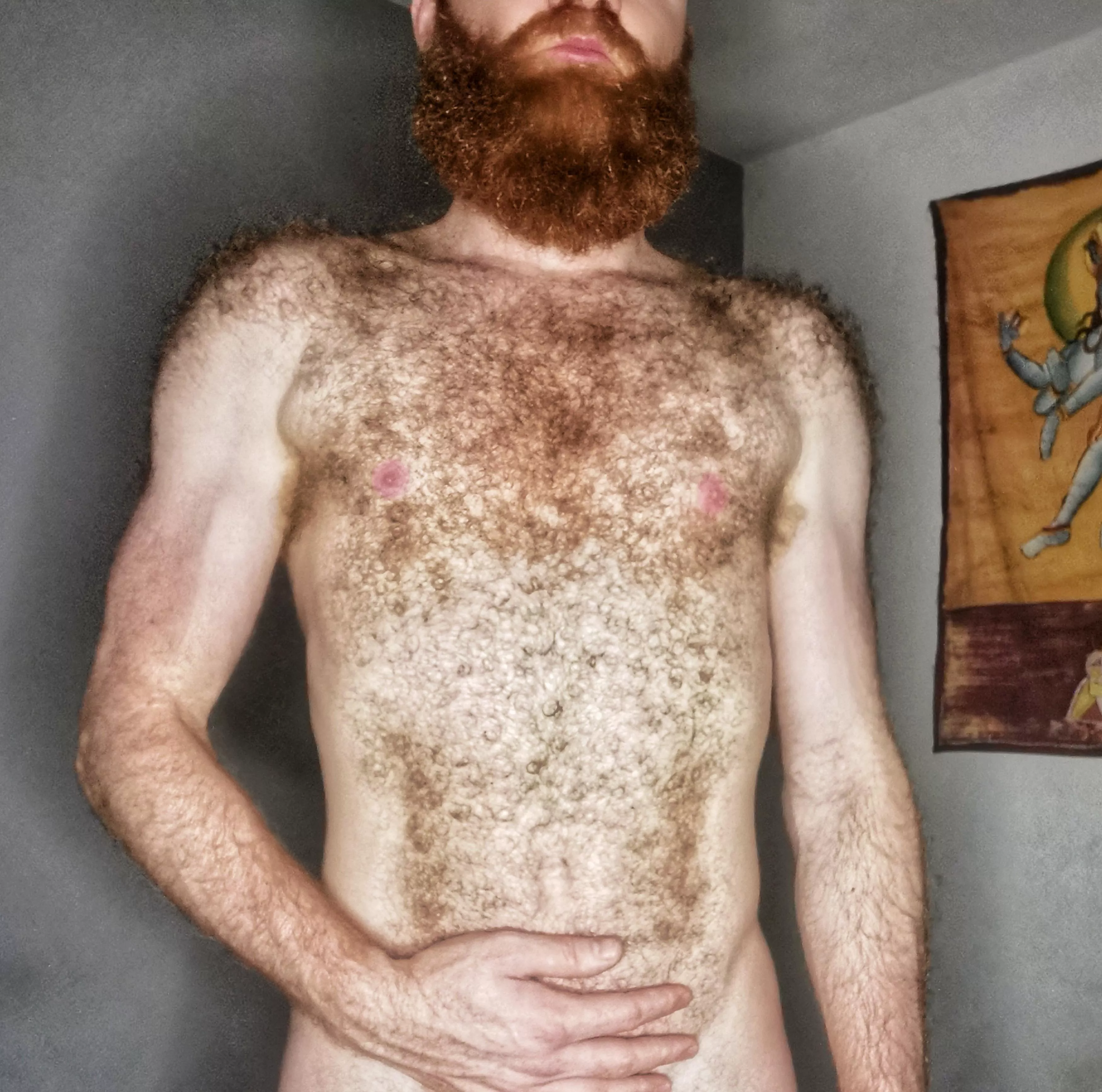 If you like a insanely hairy ginger, vote up and follow 😋 posted by Cumber17br