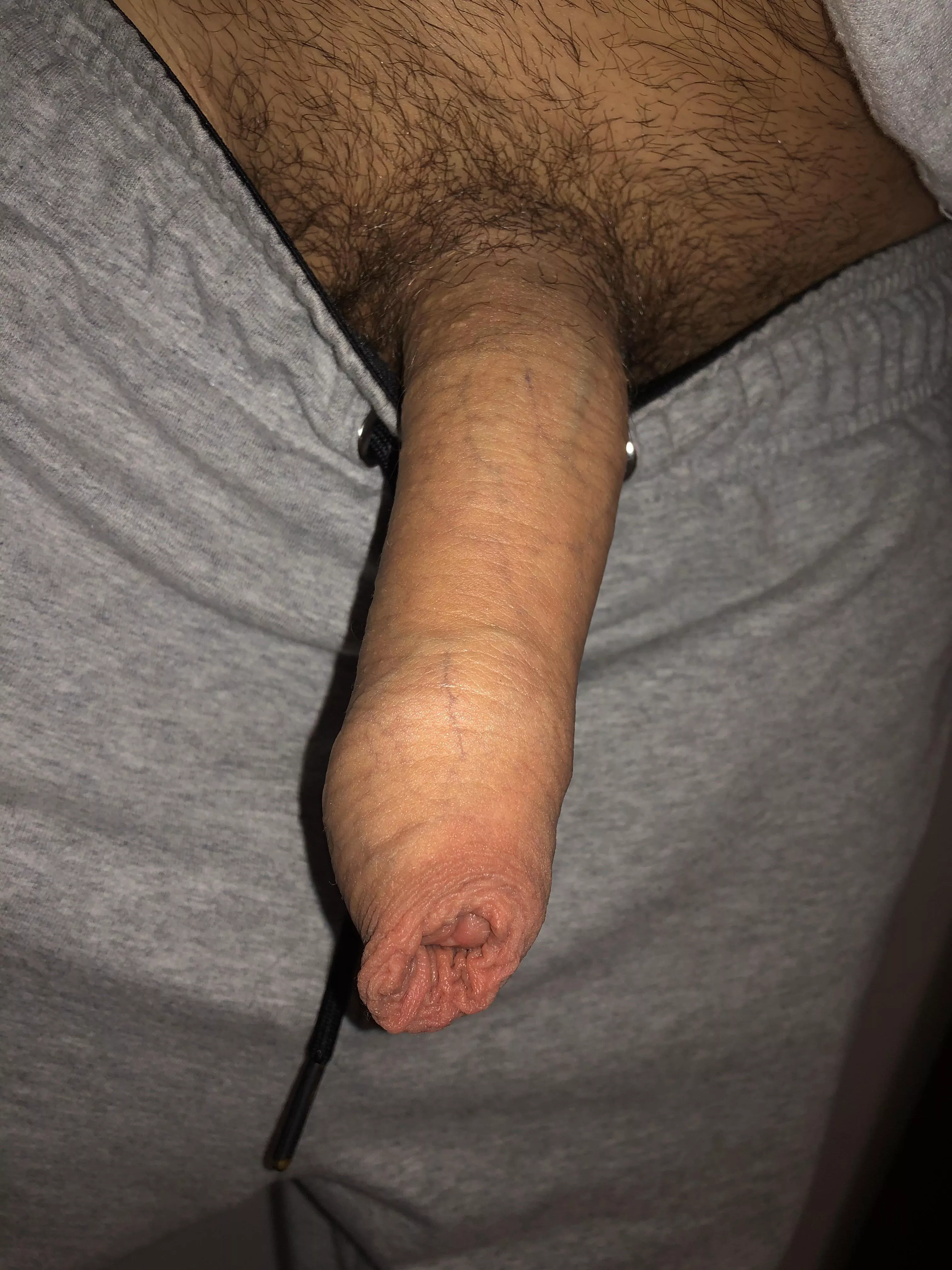 If you pulled down his pants and this popped out. What would you do? posted by WinnerFit3404