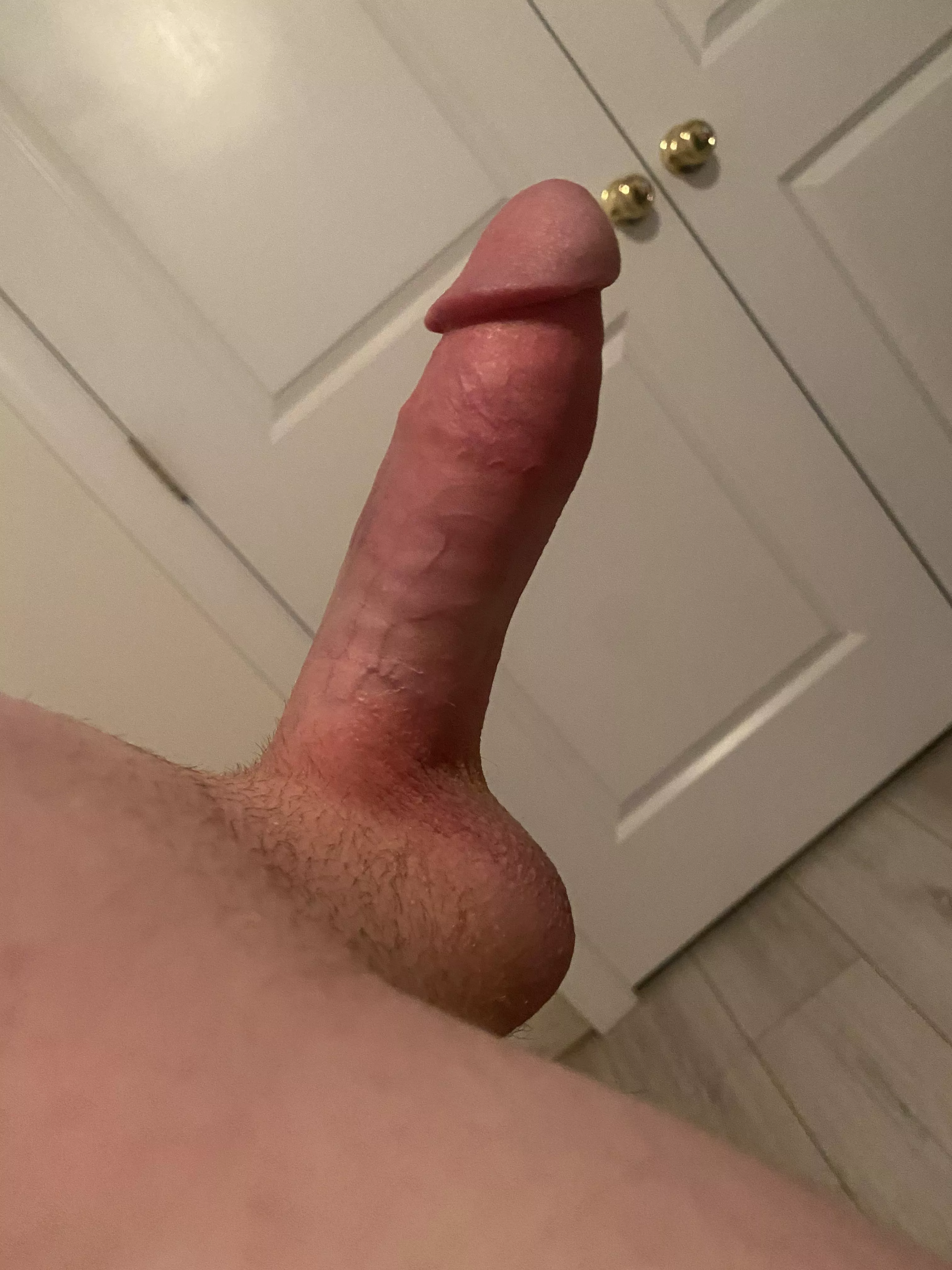 If you stop scrolling you have to dm or comment why posted by CoolestThingSince02