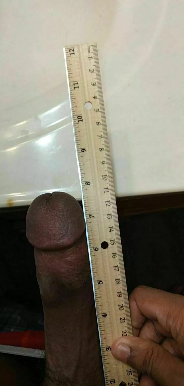 if you stopped to look, you owe me a dm posted by spactatel