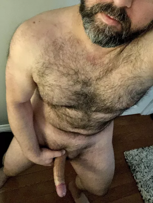If you want to be filled and hear some dirty talk, sit down on my beard and then bounce on my cock.(41) by NorthOGD