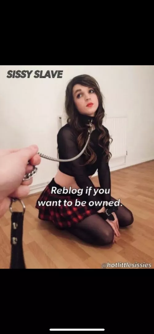 I’ll do anything for you! Own me please!!! by thatdrunkguy123