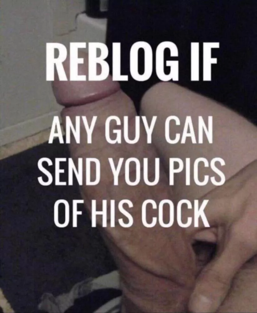 i’ll rate all of them xx posted by Ordinary_Feisty