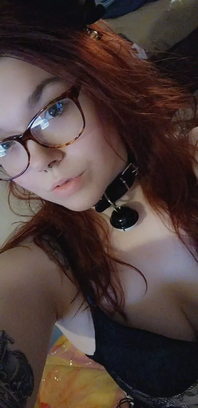 I'll sit and obey for you 😻 posted by SorayaMoon_