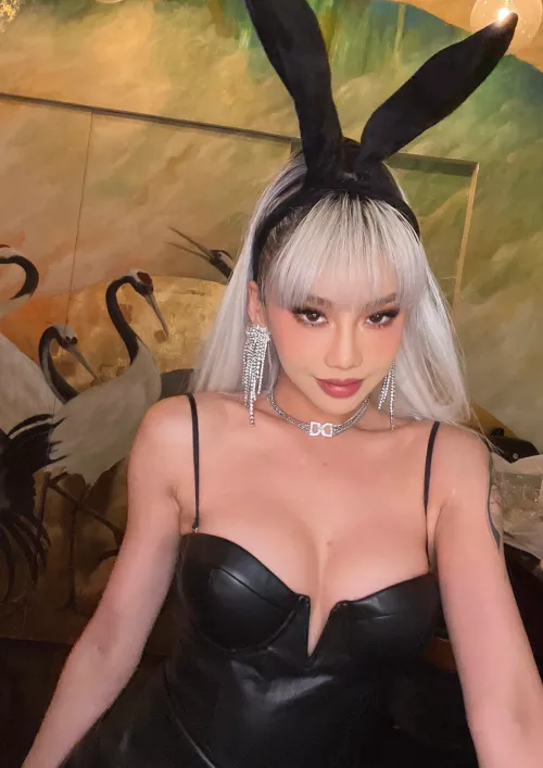 i’m a bunny in a girl’s body by dollaryaoo