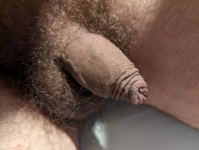 I'm a grower.. honest! (37) by hideandseekuk