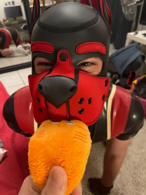 i'm a happy pup, got my first toy! by cochondesalpes