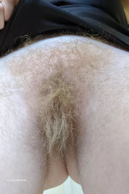 I'm a wild blonde by efiwfsn