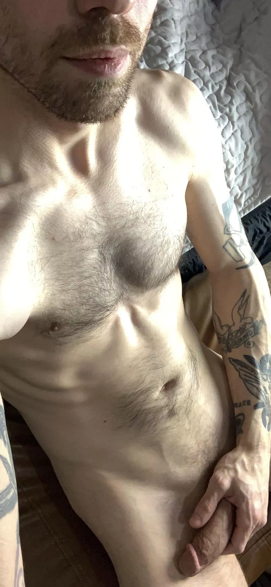 I’m an early riser [37] posted by exorsize