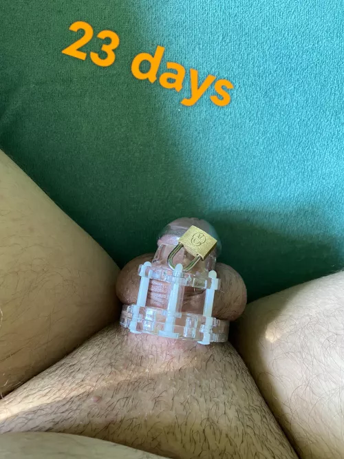 I'm extremely horny and frustrated I need to shave my balls. but my neighbor has my keys. I am 20 years old and still a virgin. by AdPossible4559