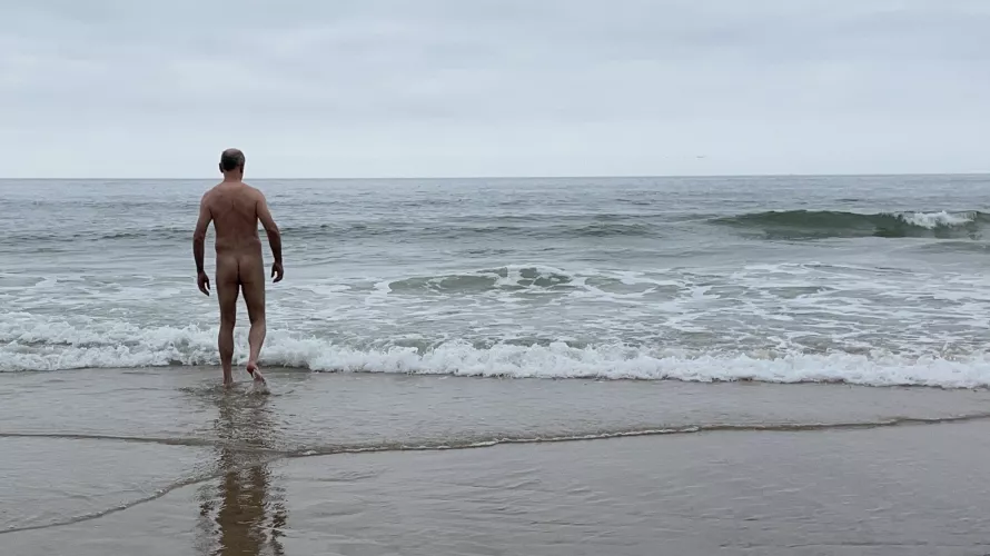 I'm going in! by beachandforestfun