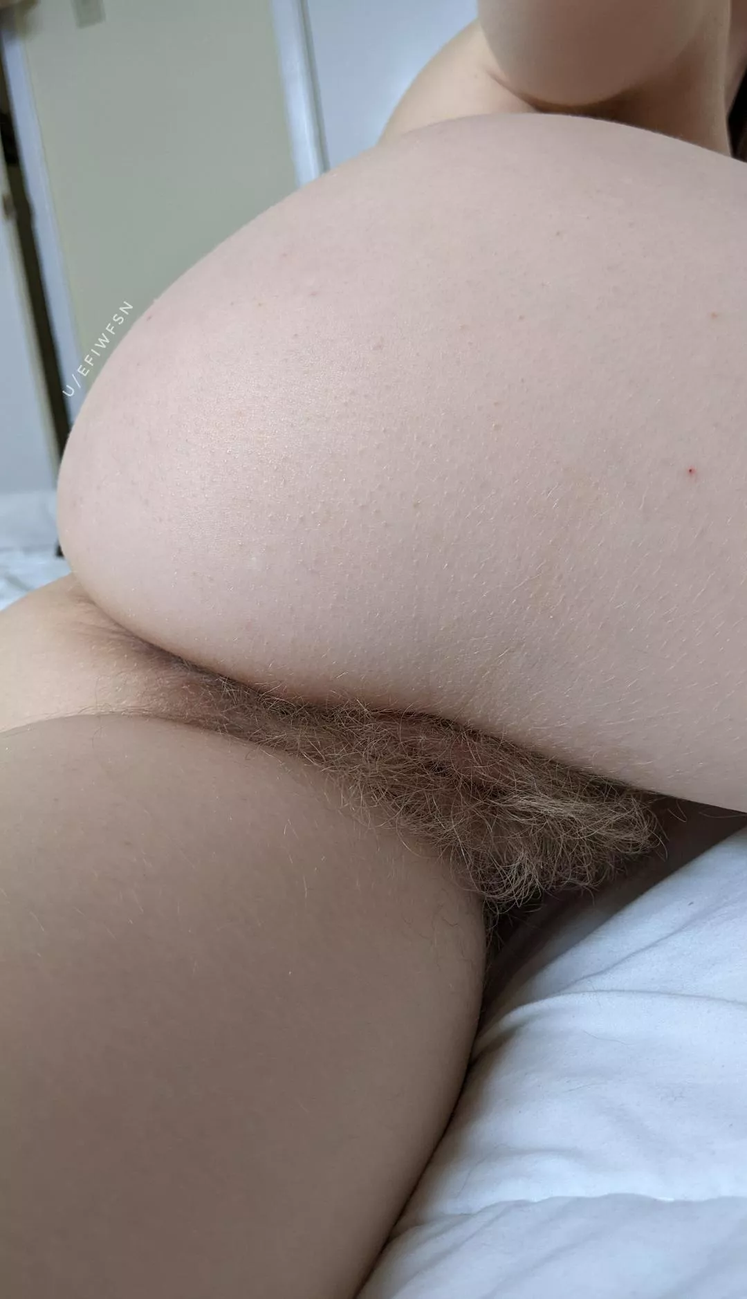 I'm hairy in all my secret places posted by efiwfsn