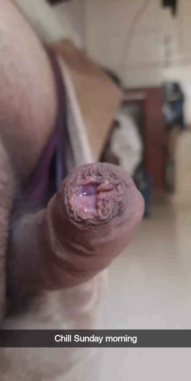 I'm hard...DM me posted by argon222_d