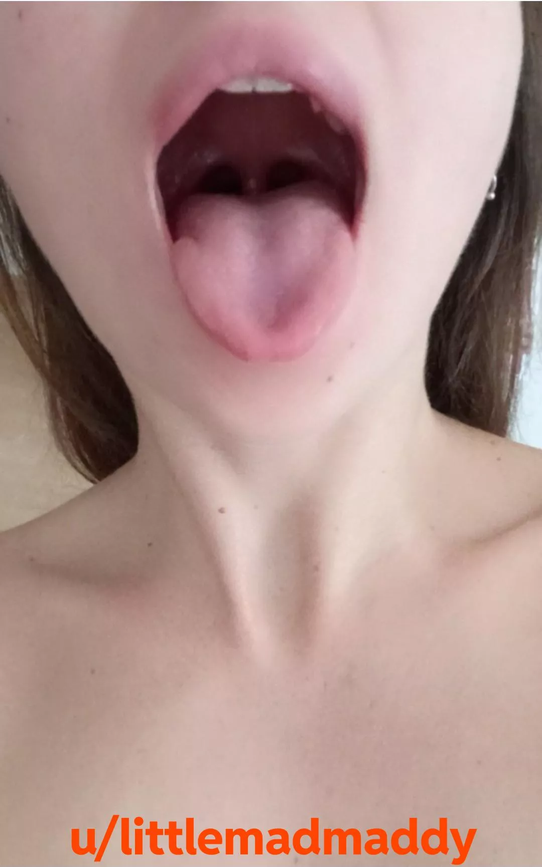 I'm hungry. what's for breakfast? posted by littlemadmaddy