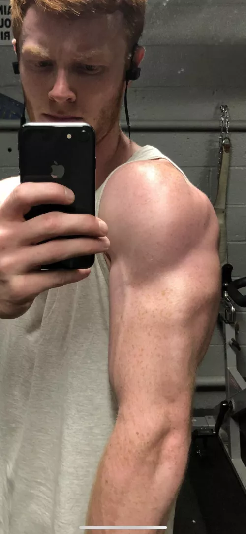 I’m just getting started like if you want to see more… by Funny_Exercise_1248