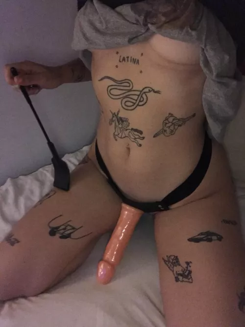 I'm looking for a sissy whore to release my harness, up the bitch that is available by guillelalatina