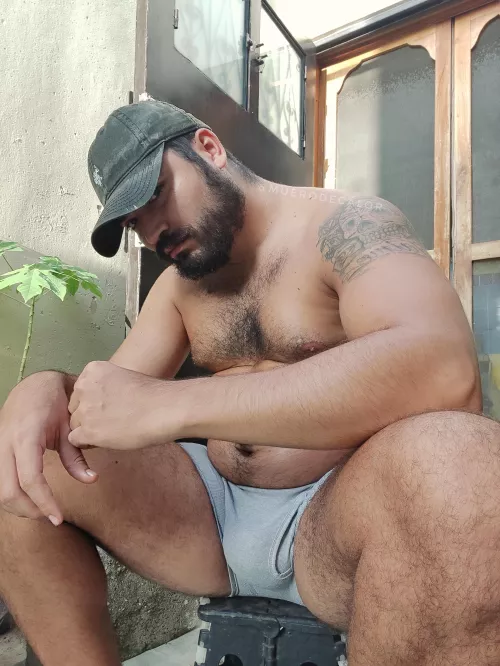 Im not a cub, not yet a papa bear... I think. by hoeliath