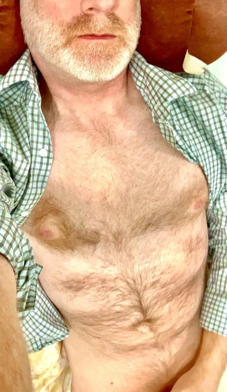 I’m orange and I will keep you warm. posted by ZelaznyFan68