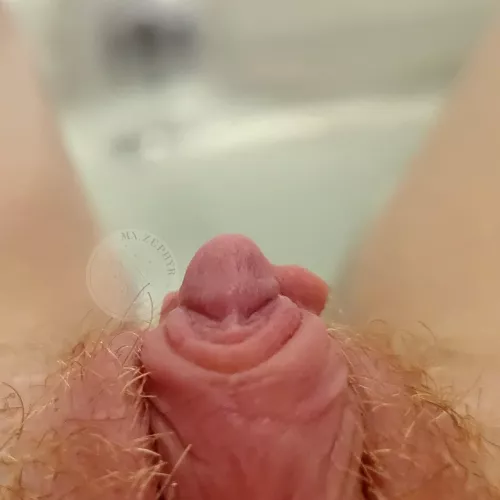 I'm ready for my close up! 📸 by MxZephyr