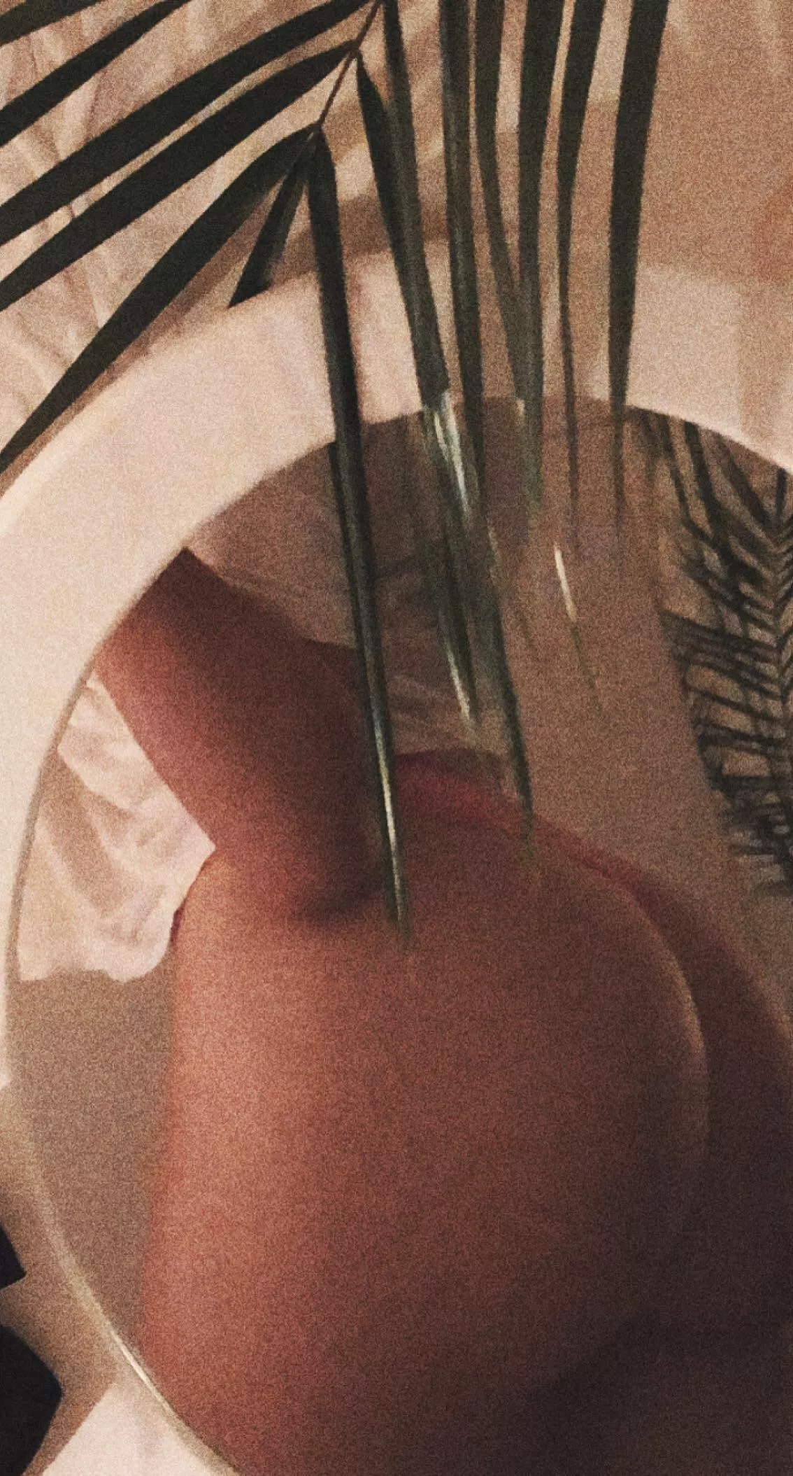 I‘m ready for you to cum anywhere💦 posted by sophiermz