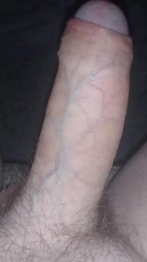 I'm so proud of my cock by reddit4you2