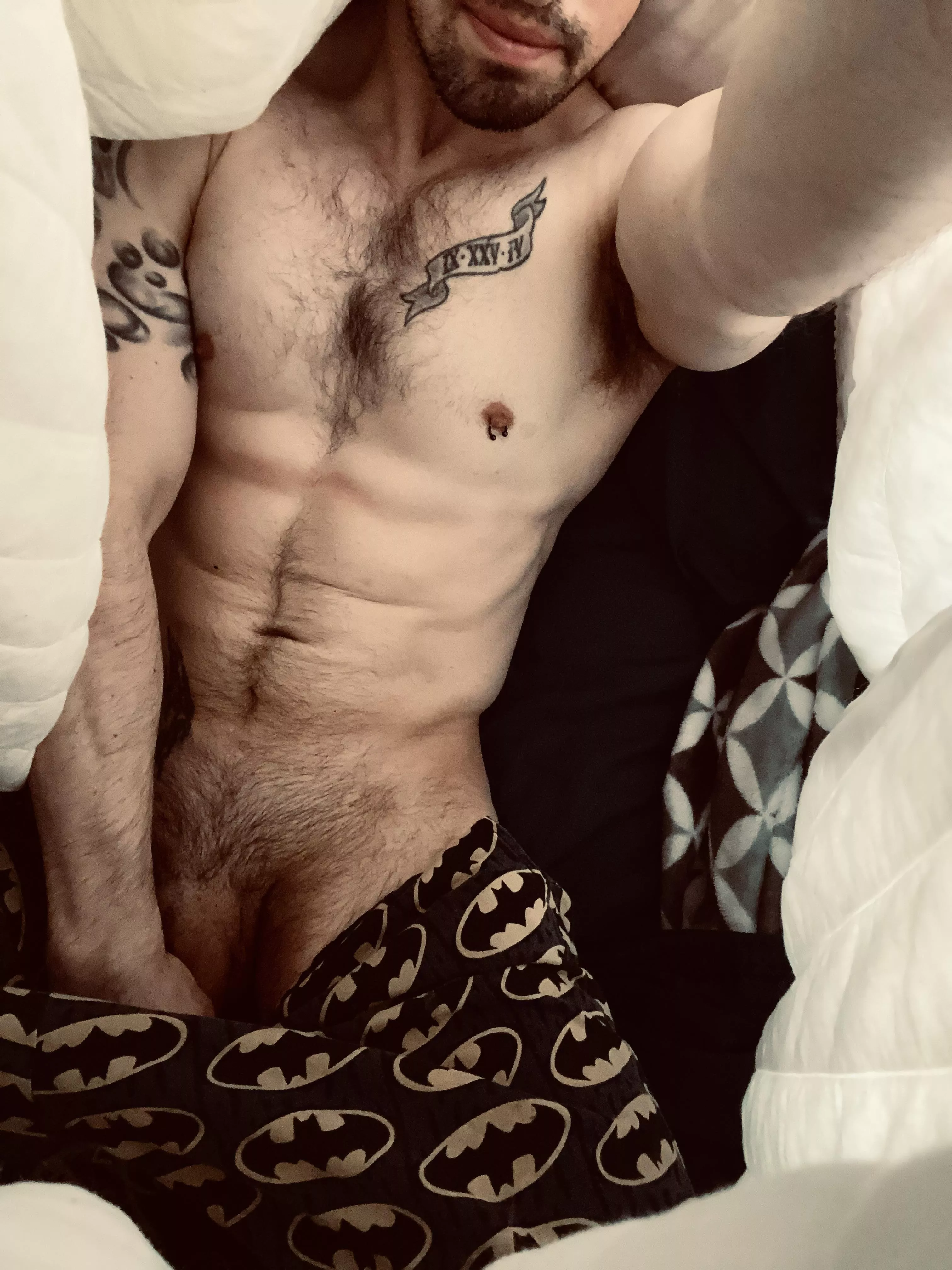 I'm the hero this blanket fort deserves, but not the one it needs right now... posted by ThickLadyLover