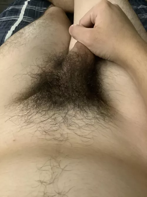 I’m working on it by aerodyna333