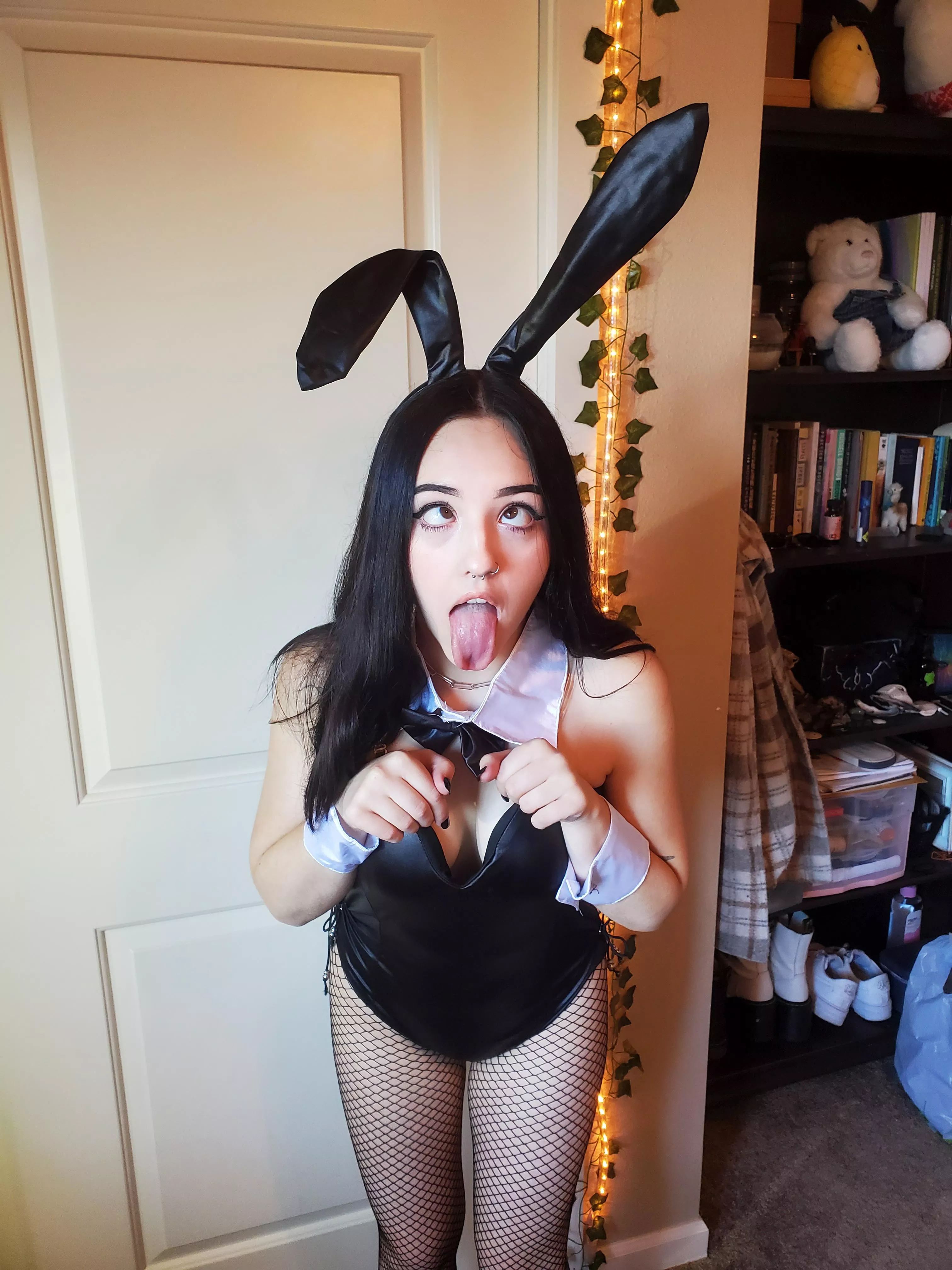 im your bunny girl ♡ posted by lovelyreii