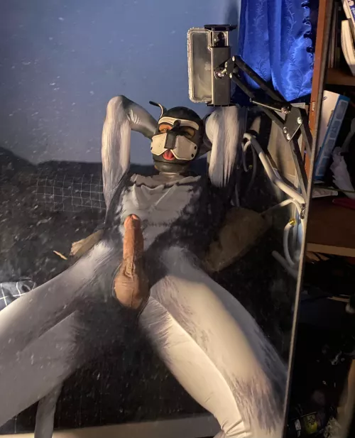 I’m yours by Shyasiang