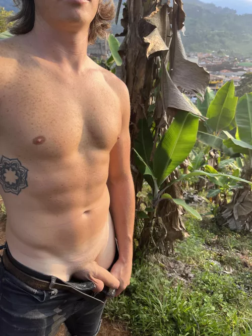 Imagine it in full motion by CreamBro