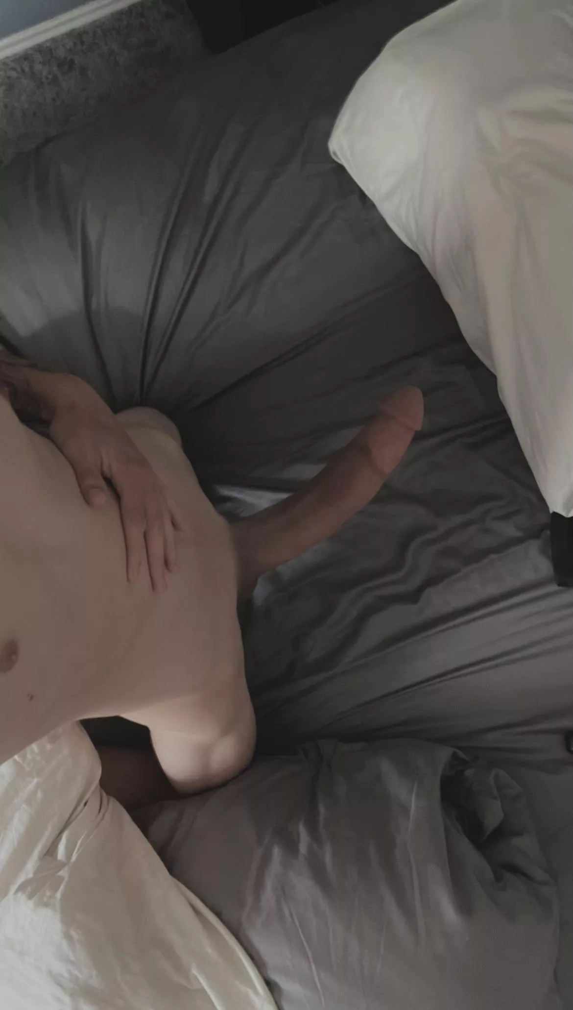 imagine it laying on you 😌 posted by xxxchonkxxx