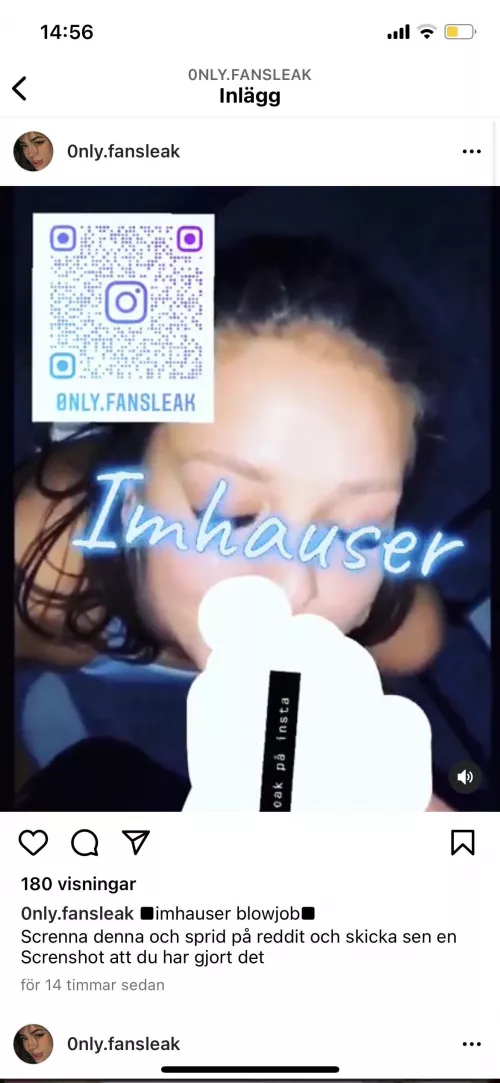 Imhauser by Particular_Stock_833