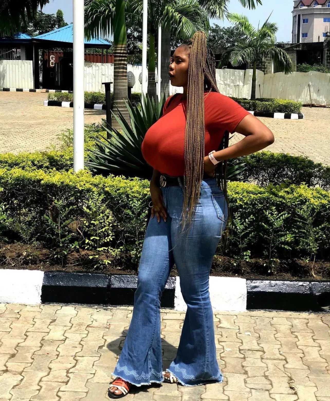 Impossible to hide ‘em posted by RemotePhilosophy6