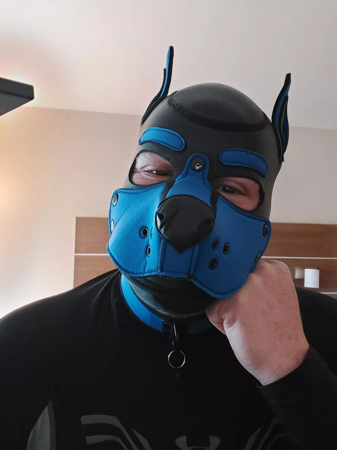 In a playful mood. Where all da pups at? posted by Pugs99